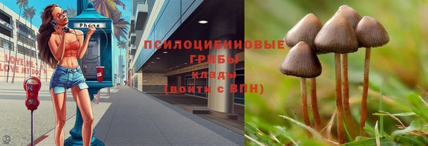 соль ск Арсеньев