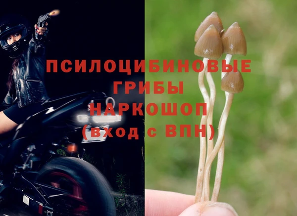 соль ск Арсеньев